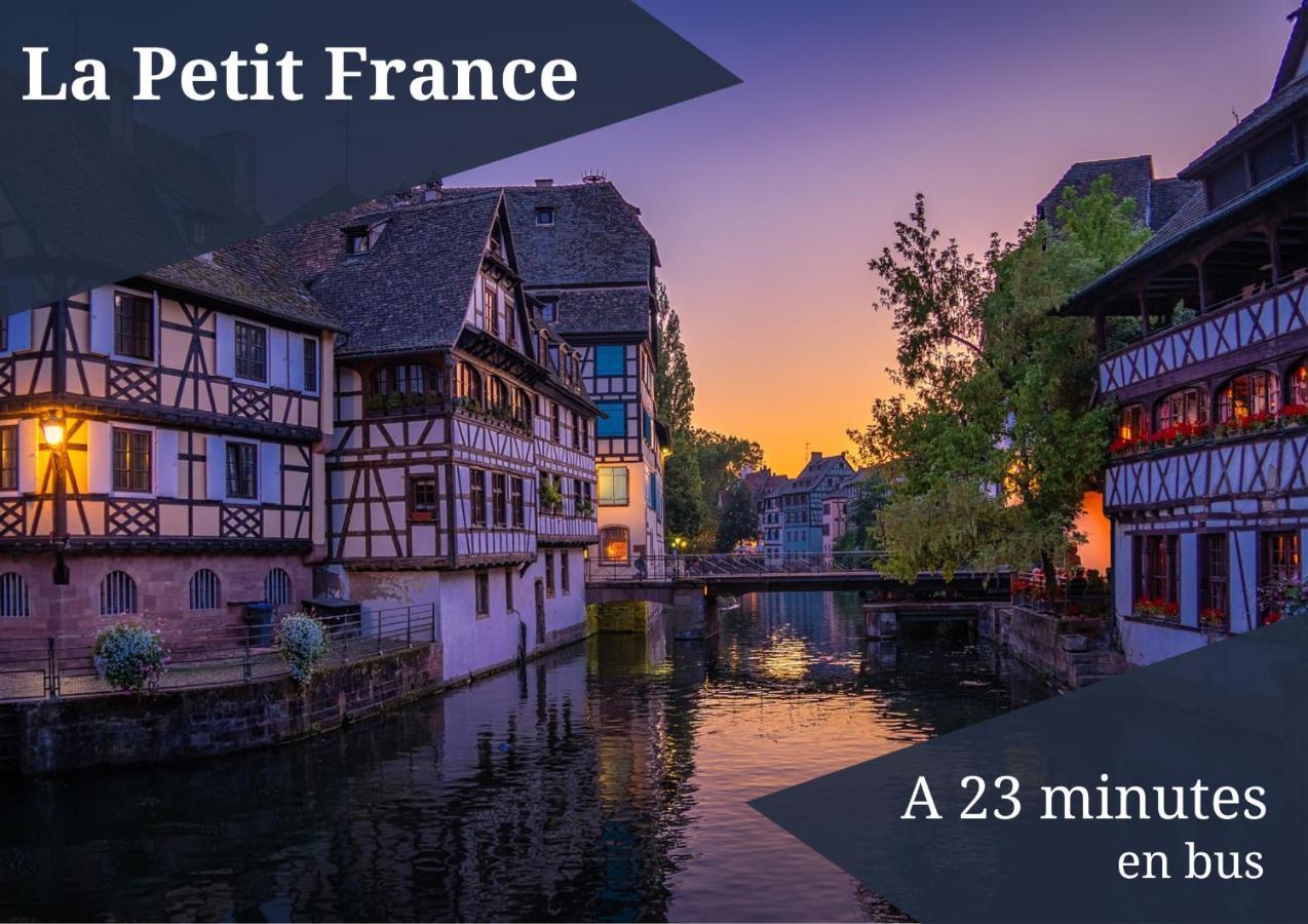 Le Reve Bleu - Golden Tree - Wifi - 15Min Centre Ville De Strasbourg Schiltigheim Zewnętrze zdjęcie